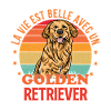 Golden retriever