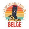 Berger belge 2