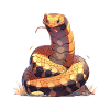 King cobra