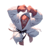 Judo Orangutan