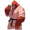 Judo Orangutan