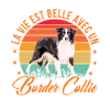 Chien border collie