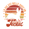 Chien teckel