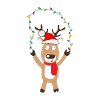 Funny Christmas Reindeer