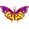 Mehrfarbiger Schmetterlingsflug