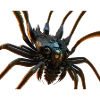 Robot Spider