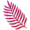 Plant & Pink