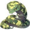 King cobra