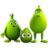 Avocado family