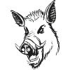 Boar Head Design!