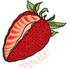 Fraise Femelle