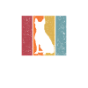 Boston Terrier