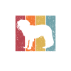 Kooikerhondje