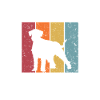 Schnauzer géant