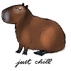 Capybara - just chill