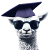 Baccalauréat diplômé Alpaga Graduation Studies
