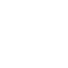 Carpe Diem Seize the Day