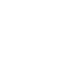 VIP Totally insane Party