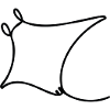 Oceanic Manta - Rochen