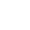 Painter Varnisher Life