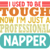 Fathers Day Professional Napper Dad