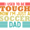 Fathers Day Soccer Dad