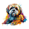 Bunter Lhasa-Apso-Hund