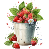 Strawberry bucket