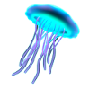 3D Jellyfish Jellyfish Sea Creatures Gift