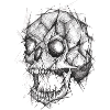 Skull Liner