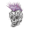 Skull Crete gu Liner
