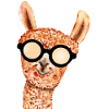 Cute llama with sunglasses