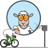 Cyclisme - Radars