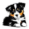 Dog Owner Australian Shepherd Puppy