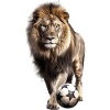 Animal Soccer Players, lion