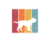 Lagotto Romagnolo