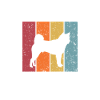 Shiba Inu