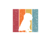 Collie barbu