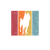 Schipperke