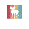 Chinesischer Schopfhund