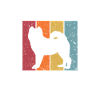 Samoyed