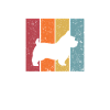 Norfolk Terrier
