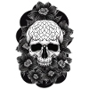 Skull with Flowers Art