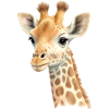Giraffe Zeichnung Pastell