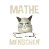 Mathematik Mathe Katze