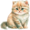 Cat Pastel Cute