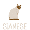 Siamese Cat Gifts