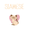 Siamesische Katze Geschenke