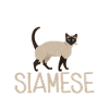 Cadeaux de chat siamois
