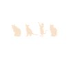 Siamese Cat Gifts